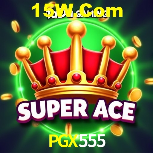 Login Seguro PGX555