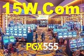 Premium Interface PGX555