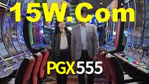 Programa VIP PGX555